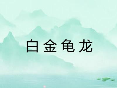 白金龟龙