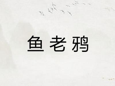 鱼老鸦