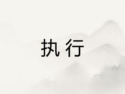执行