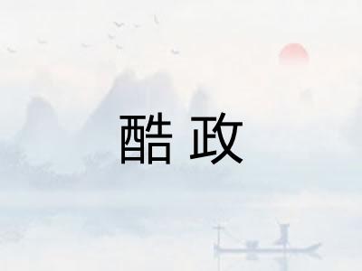 酷政