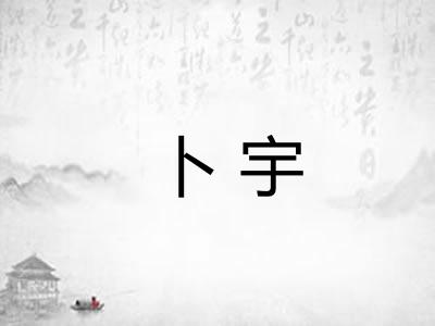 卜宇