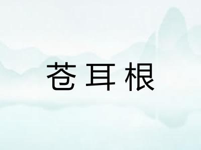 苍耳根