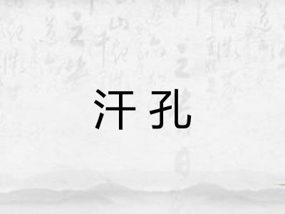汗孔