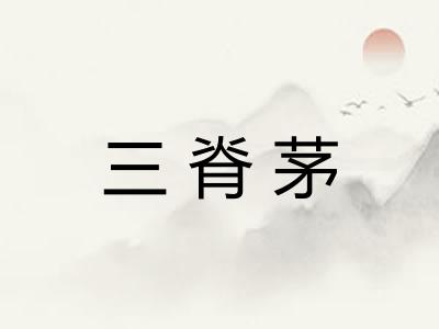 三脊茅