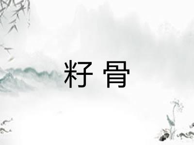 籽骨