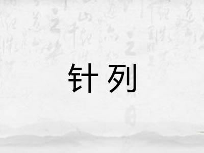 针列
