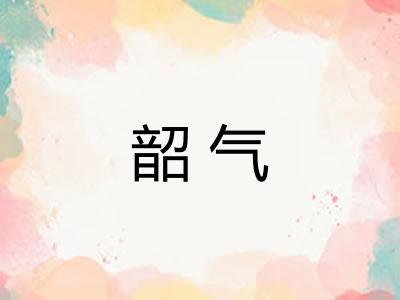 韶气