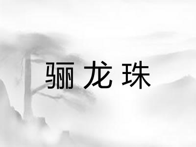 骊龙珠