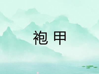 袍甲