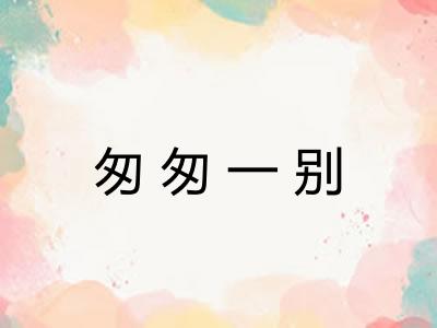 匆匆一别