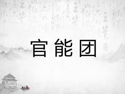 官能团