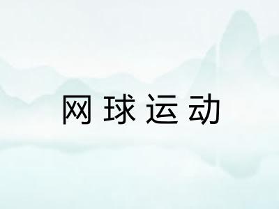网球运动
