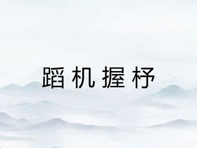蹈机握杼