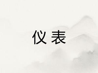 仪表