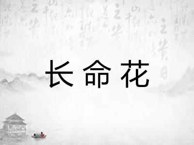 长命花