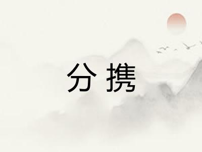 分携