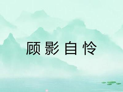 顾影自怜