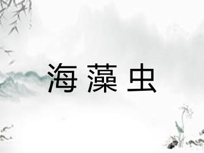 海藻虫