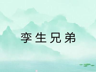 孪生兄弟