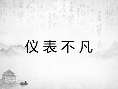 仪表不凡