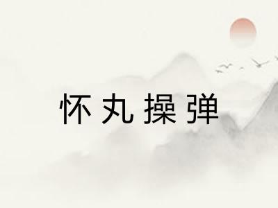 怀丸操弹