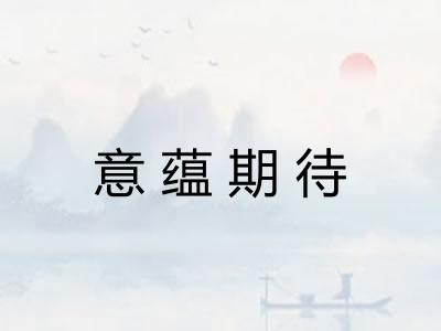 意蕴期待