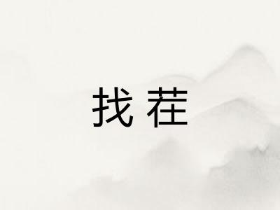 找茬