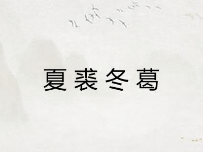 夏裘冬葛