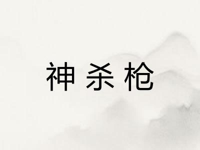 神杀枪