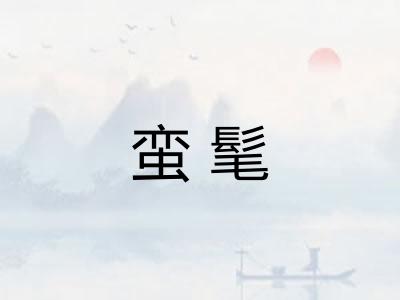 蛮髦