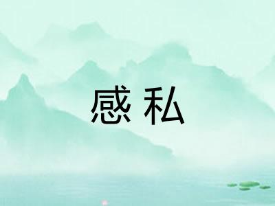 感私