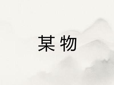 某物