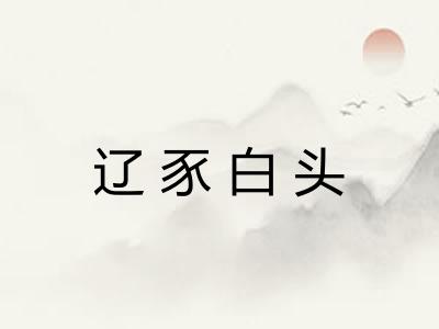 辽豕白头