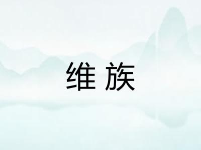 维族