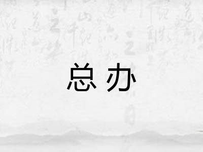 总办