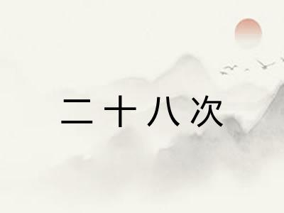 二十八次