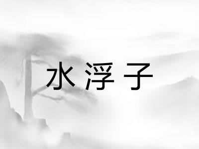 水浮子