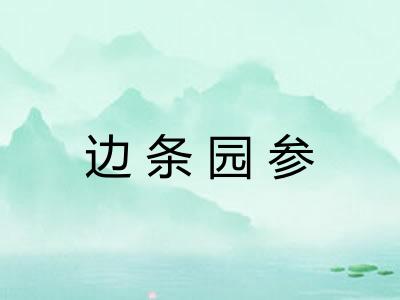 边条园参