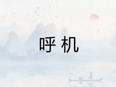 呼机