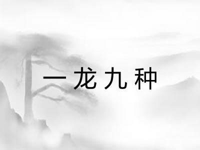 一龙九种