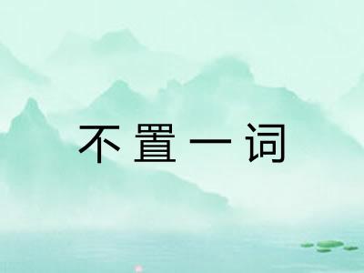 不置一词