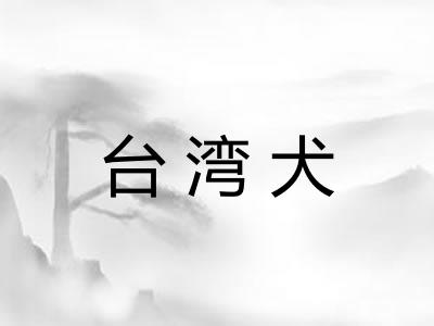 台湾犬