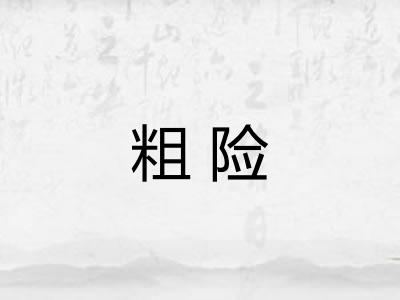 粗险