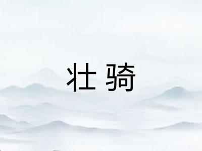 壮骑