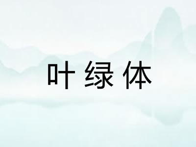 叶绿体