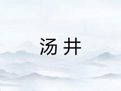汤井