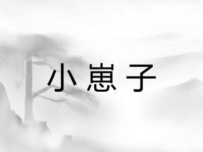 小崽子