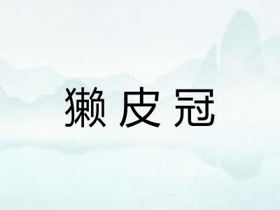 獭皮冠