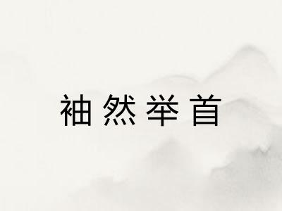 袖然举首