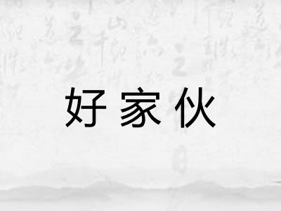 好家伙
